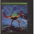Vangelis - Soil Festivities